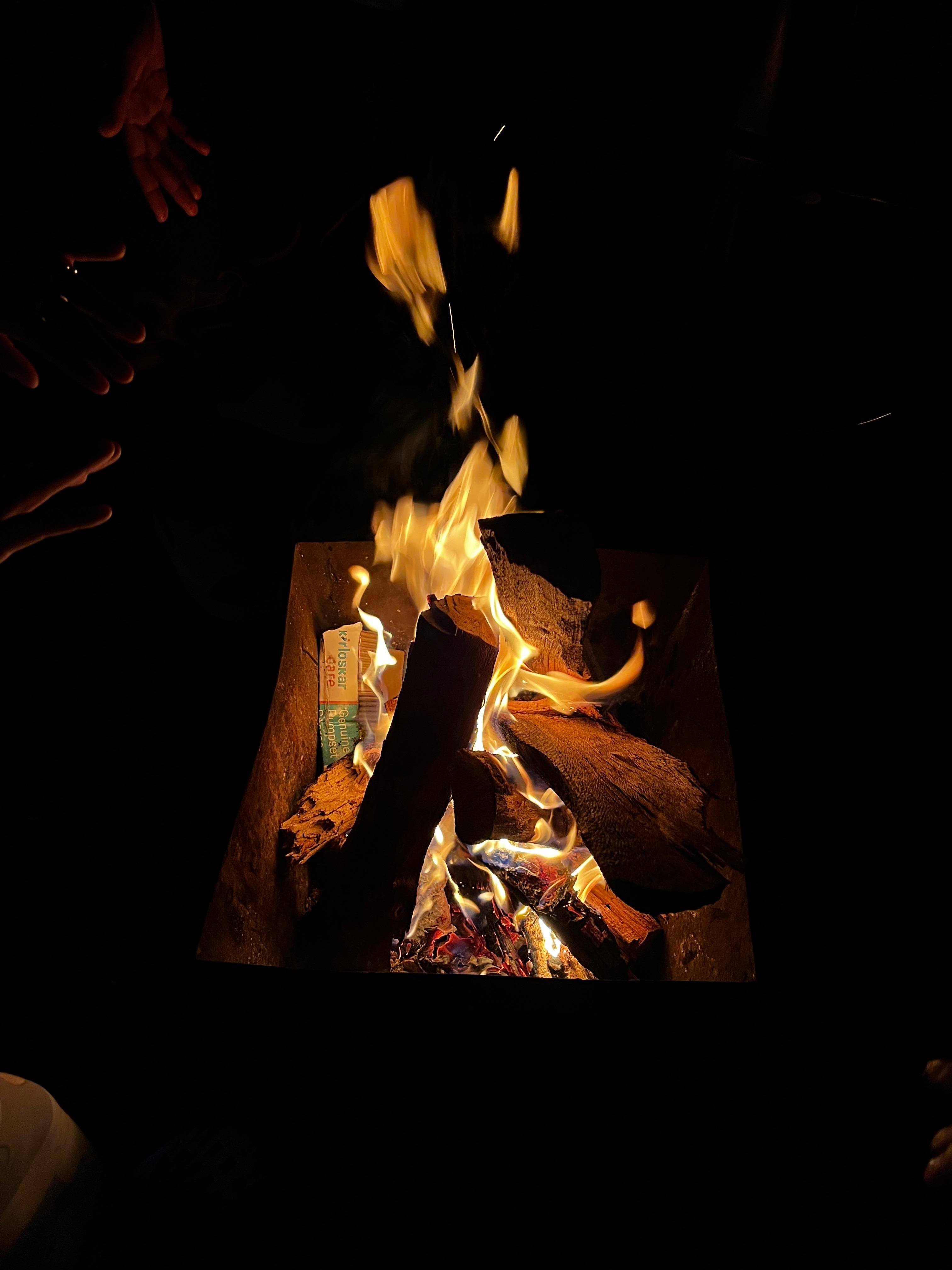 Chikmagalur Travel Guide: Misty Hills & Coffee Country ☕ cover image 2