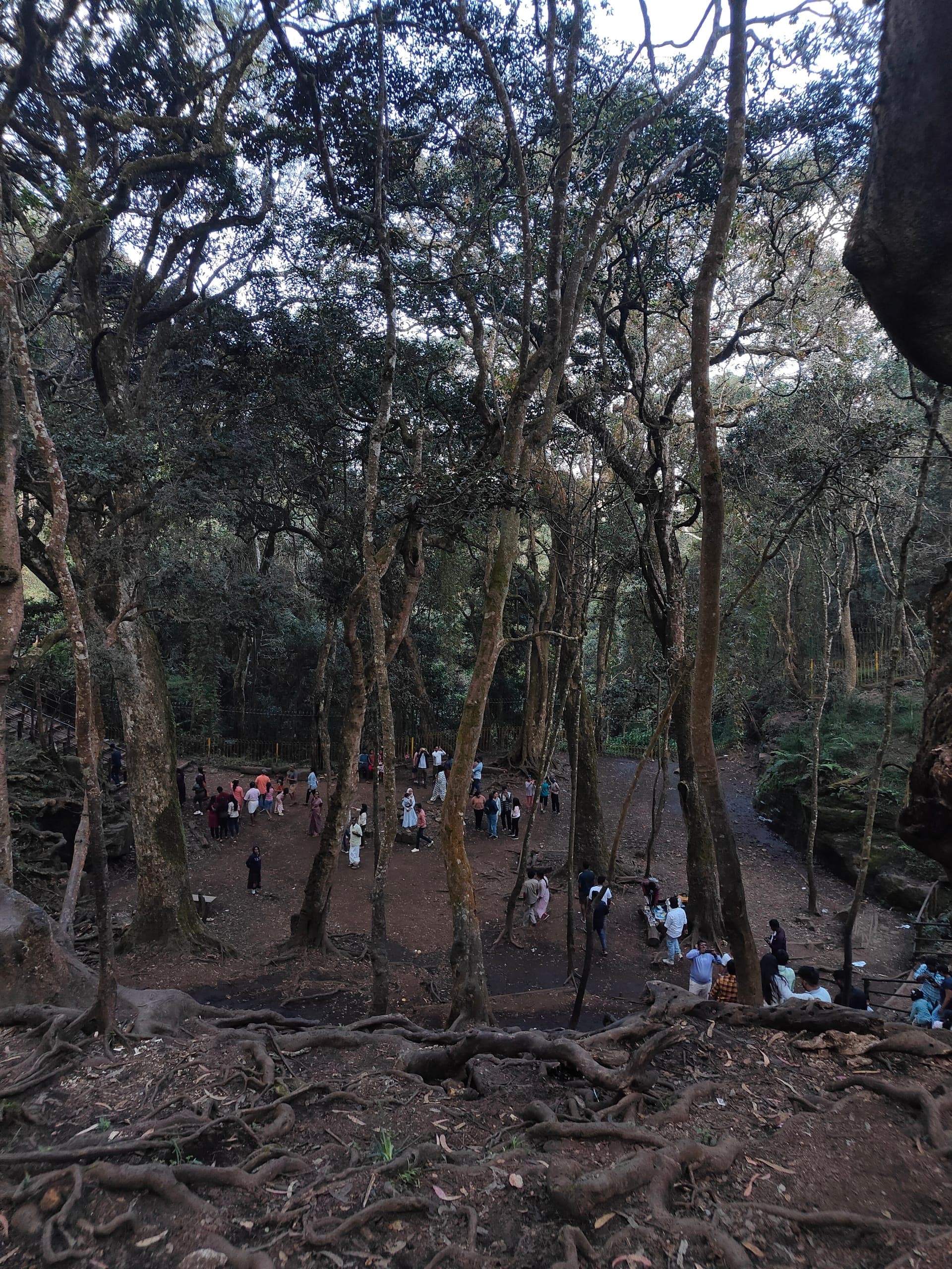 Kodaikanal Travel Guide: Princess of Hill Stations gallery image 2