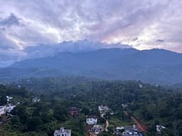 Wayanad Travel Guide: Into Kerala's Green Hills story thumbnail